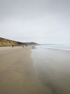Nice photo of Torrey Pines State Beach