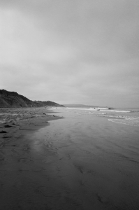 Nice photo of Torrey Pines State Beach