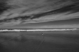Nice photo of Torrey Pines State Beach