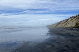 Nice photo of Torrey Pines State Beach