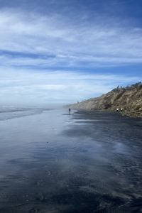 Nice photo of Torrey Pines State Beach