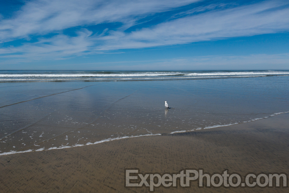 Nice photo of Torrey Pines State Beach