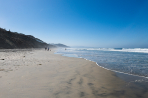 Nice photo of Torrey Pines State Beach