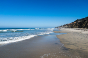 Nice photo of Torrey Pines State Beach