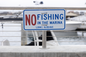 Nice photo of No Fishing