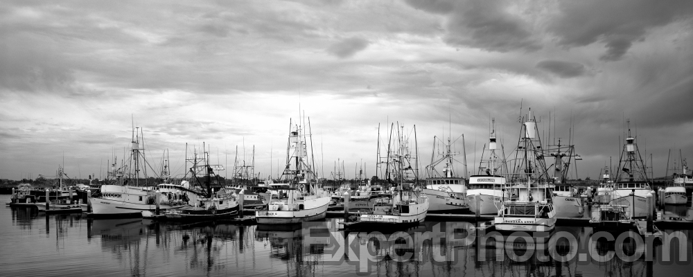Nice photo of Fishing Boats Tuna Harbor San Diego Bay