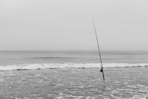 Nice photo of Fishing Pole Torrey Pines