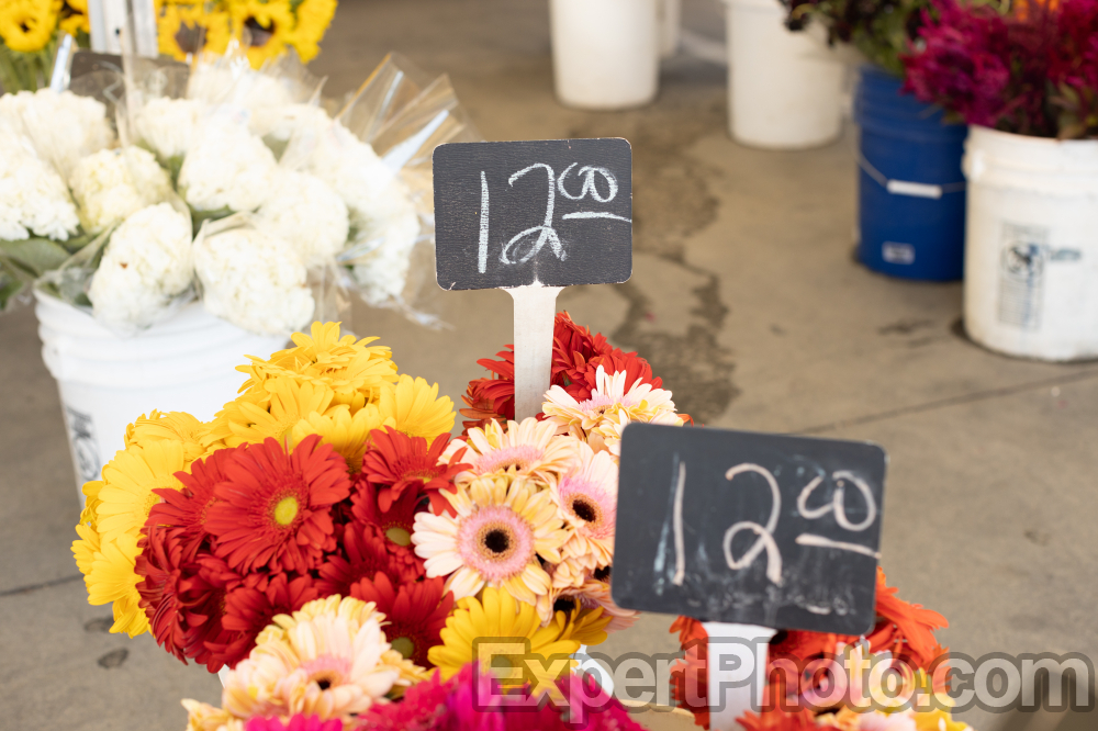 Nice photo of Flowers Old Town Temecula Farmers Market