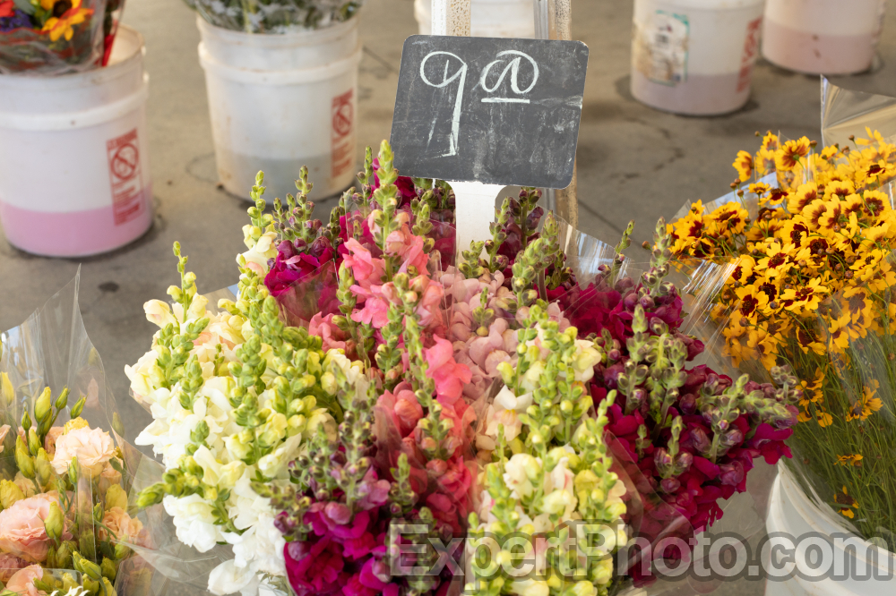 Nice photo of Flowers Old Town Temecula Farmers Market