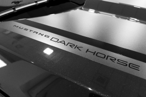 Nice photo of 2024 Ford Mustang Dark Horse