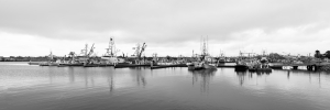 Nice photo of Fishing Boats in Tuna Harbor San Diego