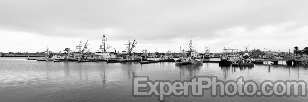 Nice photo of Fishing Boats in Tuna Harbor San Diego