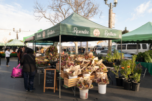 Nice photo of Resendiz Brothers Protea Growers