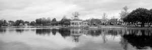 Nice photo of Harveston Lake