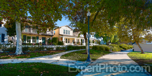 Photo for Metadata display