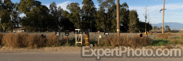 Photo for Metadata display