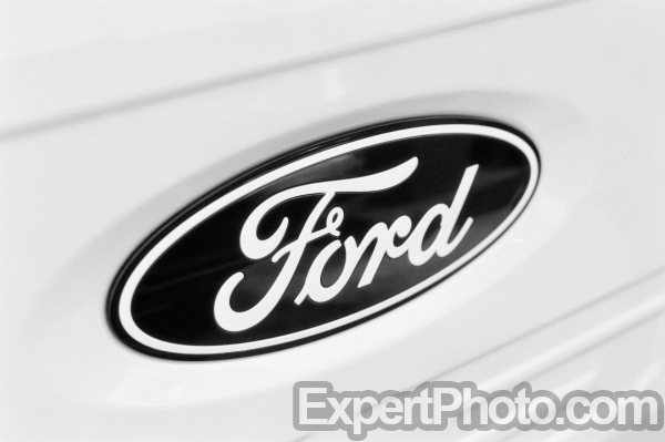 Photo for Metadata display