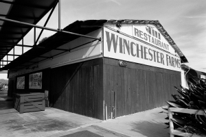 Nice photo of Winchester Farms