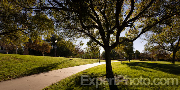 Photo for Metadata display