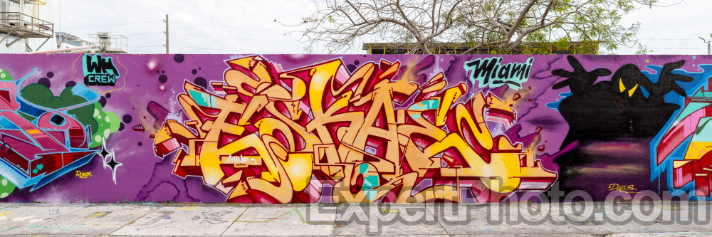 Nice photo of Wynwood Miami