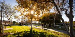 Nice photo of Harveston Lake Temecula
