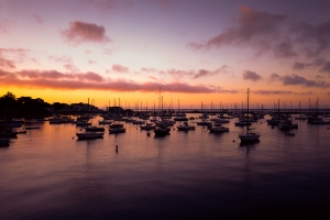 Nice photo of Monterey Sunset