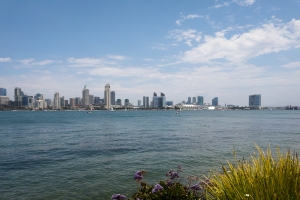 Nice photo of San Diego Skyline from Bayview Park