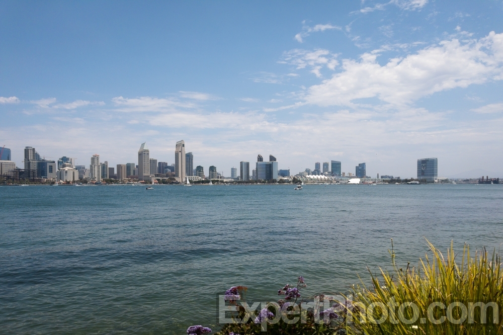Nice photo of San Diego Skyline from Bayview Park
