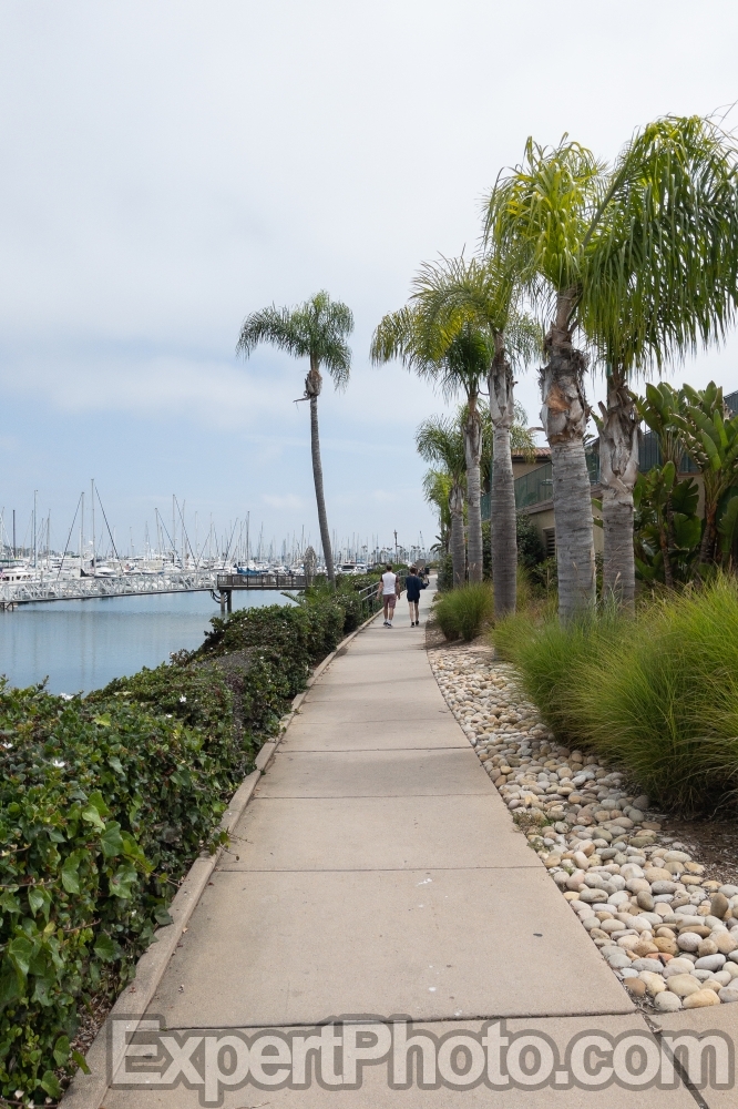 Nice photo of Walking path in the Kona Kai Marina San Diego