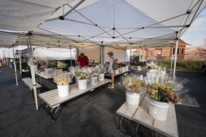 Nice photo of Flower Shopping at the Temecula Farmers Market