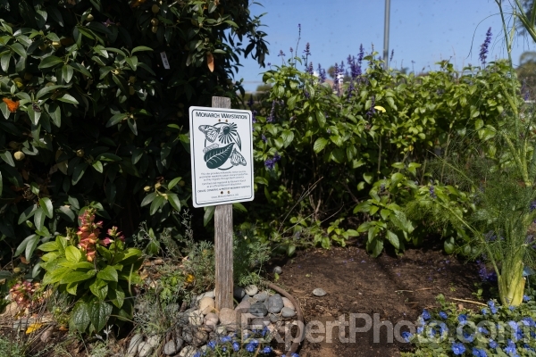 Photo for Metadata display