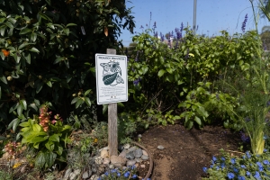 Nice photo of Butterfly Farms Monarch Waystation Garden