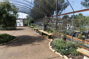 Nice photo of Butterfly Farms Vivarium Benches