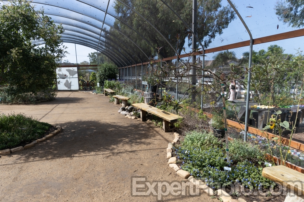 Nice photo of Butterfly Farms Vivarium Benches
