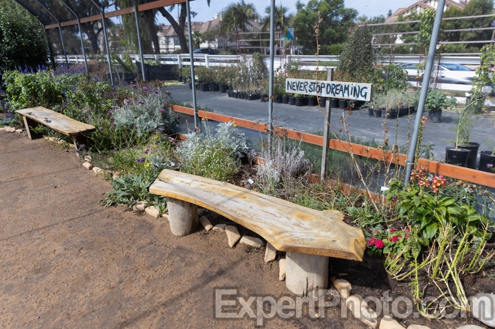 Nice photo of Butterfly Farms Vivarium Decor