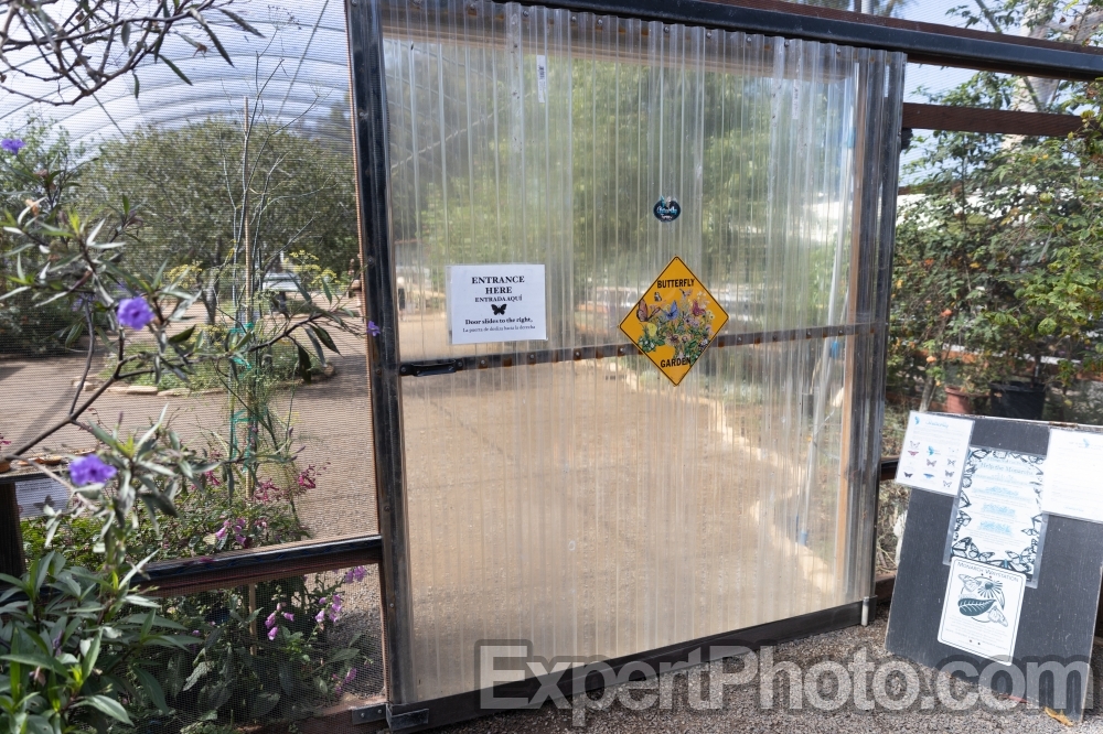 Nice photo of Butterfly Farms Vivarium Entrance