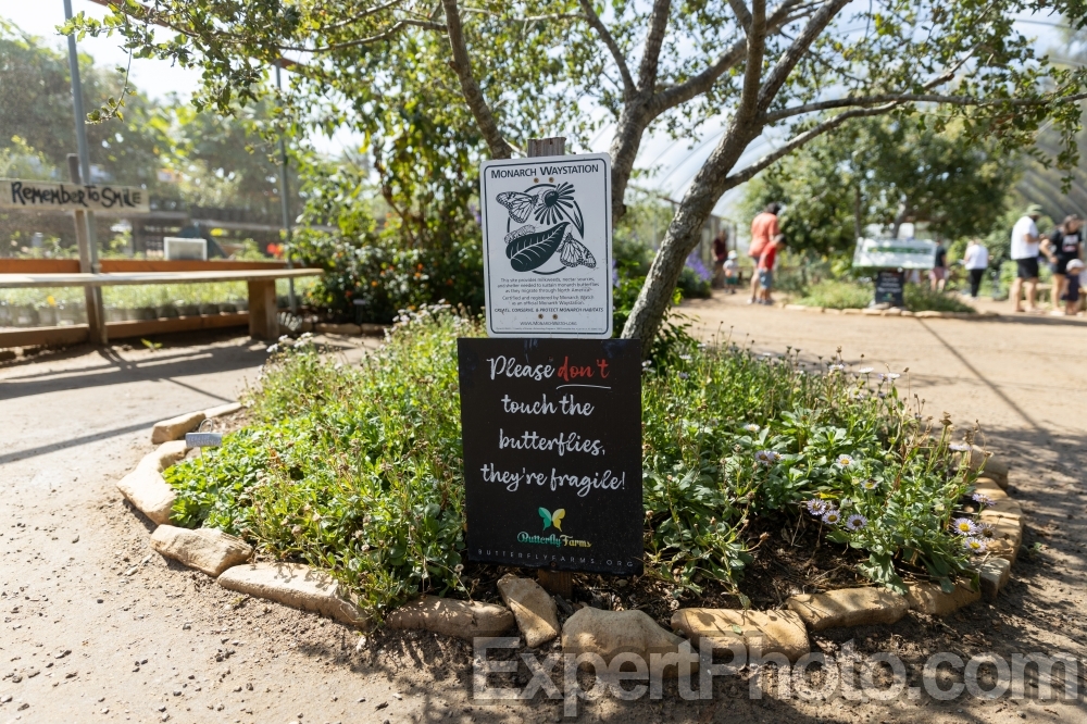 Nice photo of Butterfly Farms Vivarium Sign