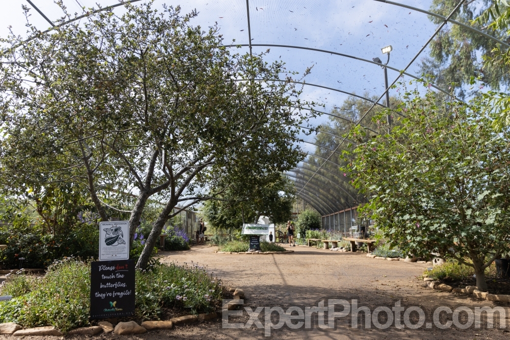 Nice photo of Butterfly Farms Vivarium