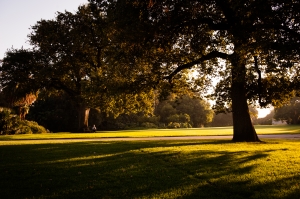 Nice photo of Huntington Library
