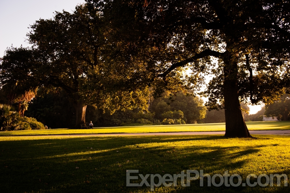 Nice photo of Huntington Library
