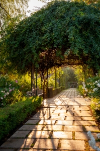 Nice photo of Late Afternoon Huntington Library