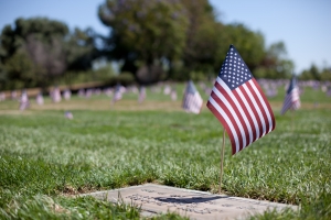 Nice photo of Riverside National Cemetery
