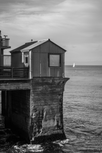 Nice photo of Outside the Monterey Bay Aquarium