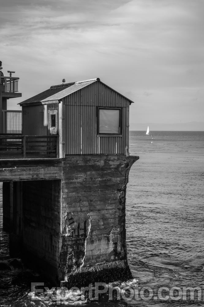 Nice photo of Outside the Monterey Bay Aquarium