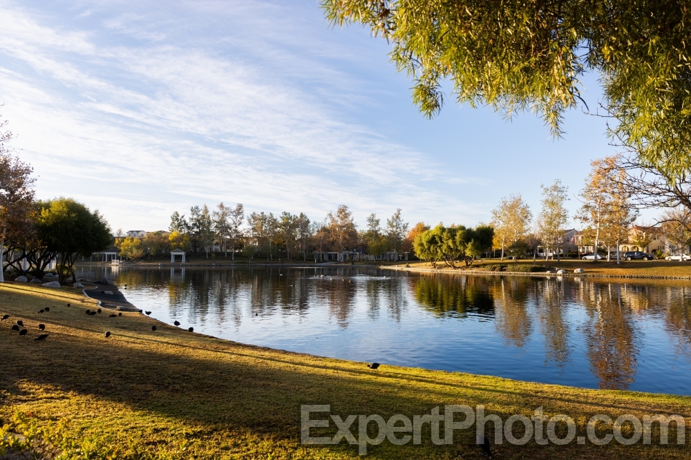 Nice photo of Sunrise at Harveston Lake Temecula