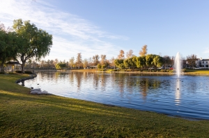 Nice photo of Sunrise at Harveston Lake Temecula
