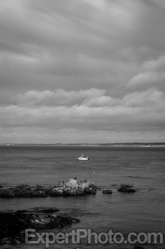 Nice photo of Fishing Boat in Monterey
