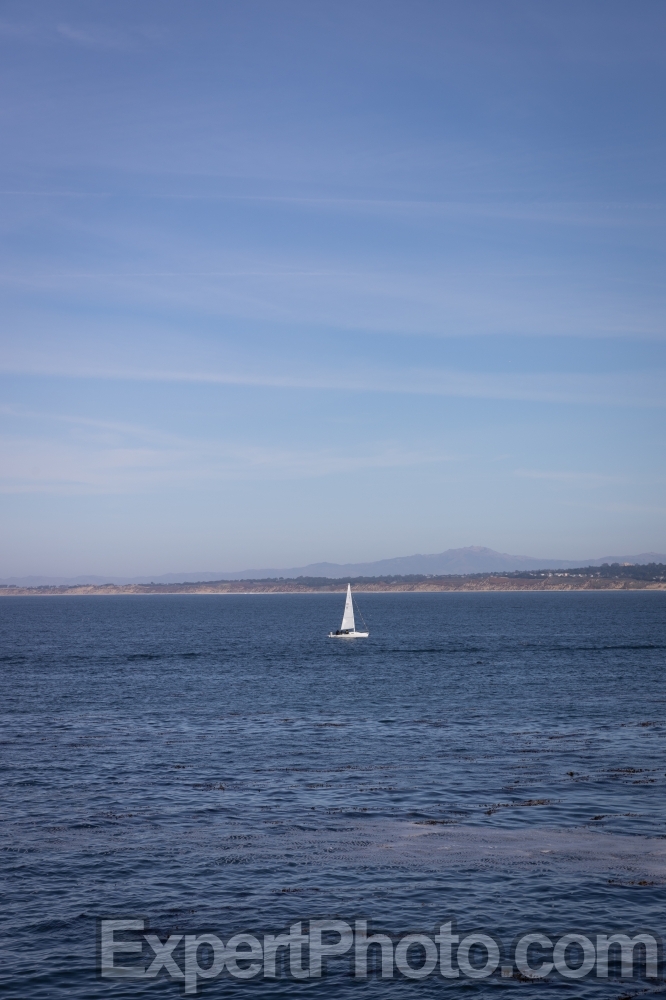 Nice photo of Sailboat in Monterey Harbor