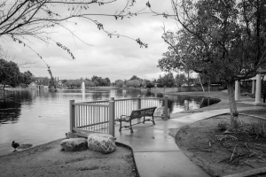 Nice photo of Park Bench at Harveston