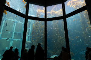 Nice photo of Monterey Bay Aquarium